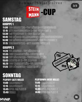 Steinmann-Cup 2024 Grafik Paarungen