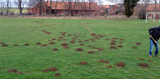 Sportplatz Hoefingen Maulwuerfe RW Hessisch Oldendorf AWesA