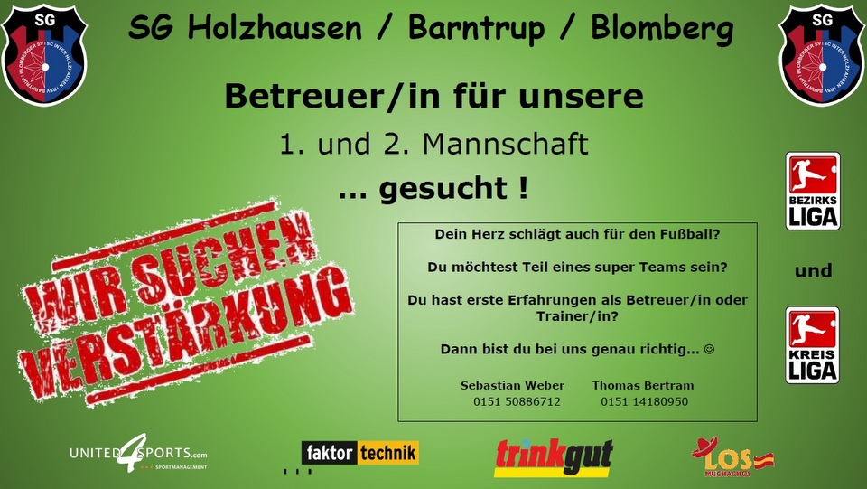 SG Holzhausen Frauen Betreuersuche Flyer